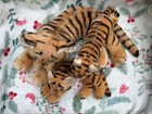 Vintage Steiff Tiger Tigers Germany Mohair 14    And 8  And 8  1950s No Tags