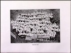 1914 Dartmouth College Aegis Page Class Of 1913 Group Picture