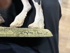 Anne Wall Border Fine Arts Horse Figurine On Wood Base Resin 848 950 Signed