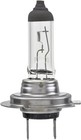 H7 Standard Halogen Bulb  12 V  55w