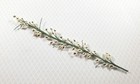 Dollhouse English Ivy Vine 8 Inches Long 1 12 Scale Miniature Garden Plants