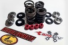 Suzuki Ltr 450 Kibblewhite Intake Exhaust Valves Titanium Spring Kit   Red Seals