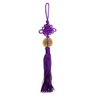 Feng Shui Fortune Coin Tassel Purple Hanging Cure Spiritual Health Healing New