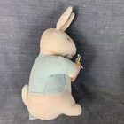 Vintage Eden Peter Rabbit 9    Plush Pastel Baby Beatrix Potter Bunny Velour Toy