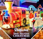             62 Adult Best Price           Dollywood Discount Ticket      within 1 Hr Promo 