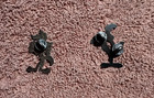 Looney Tunes Pin Set Enamel Pins Lot Wile E Coyote E  The Road Runner Roadrunner