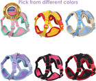 Cat Harness And Leash Set For Walking     Escape-proof Reflective Vest For Cats An