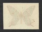 C1910 s S8 Atc Tobacco Silk - Butterflies Series - Large Format - Design L-2