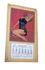 1955 Marilyn Monroe  Calendar Lingerie Matches 2022 17   x10   