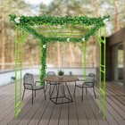 Outdoor Plant Stand  Plant Climbing Display Rack  Plant Climbing Stand