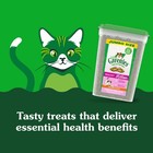 Bb02 25 Greenies Feline Smartbites Kitten Treats Chicken Flavor 16oz Tub