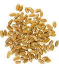 Certified Glyphosate Residue Free Palouse Brand Hard White Wheat Berries 5 Lb