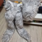 Kigurumi Costume Two Sets  split Possible  For Women