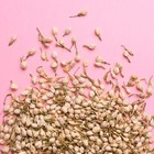 Natural Confetti Flower Confetti  Biodegradable Flower Jasmine 1 Liter
