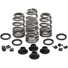 Kpmi Spring Kit  660 Lift Fits H-d Evolution Twin Cam 5 16 Stem Valves 20-21500