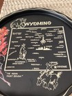 Vintage 11  Metal State Souvenir Plate -  Wyoming