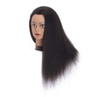 Hair Mannequin Head 100  Real Hair Hairdresser Practice Styling Training Head   