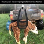 1 Pet Weigh Sling For Small Animals Nylon Hammock Calf Weigh Lift