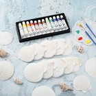 Natural White Scallop Shells Crafts Diy Clam Shell Beach Decor 23 Inch 36 Pcs