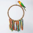 Pet Bird Cotton Rope Swing Ring - Hanging Perch   Chew Toy For Parrot Budgie S l