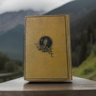Rare Antique Classic Literature Book  seven American Classics  1880