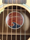 Eastman Pch3 Gace Ltd