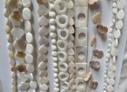 Big Sale 24 Selections Of Shell Beads Mix Shapes