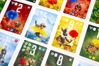 Flower Power Expansion Pixies Card Game Pandasaurus Games Panpixexp01 Family