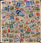 250 All Different Worldwide Stamps -mixture Of Small  Medium And Large Stamps