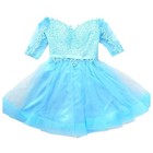Blue Regencycore  Coquette Lace Tulle Party Dress Special Event Formal Sz 8