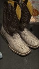 Western Cowboy Boots From Cavanders Size 12ee Worn 5 Times  Real Snake Skin
