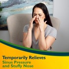 Benzedrex Nasal Decongestant Inhaler  1 Count 1  pack Of 1   Clear