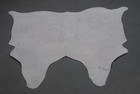 100  New Cowhide Rugs Area Cow Skin Leather  45 x 47   Cow Hide Sa-2024