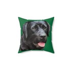 Labrador Retriever  rizzo  Spun Polyester Throw Pillow