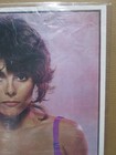 Adrienne Barbeau Vintage Poster Bar Garage Man Cave 1978 Hot Girl Cng3844