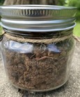 Authentic Graveyard Dirt  Necromancy  Folk Magic  Witchcraft  Hoodoo