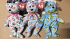 Ty Beanie Baby 2004 Asia Pacific Set Mint Wnm Tags Read