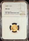 1889 Type 3  Indian Princess  Large Head  G 1 Ngc Ms66   gem Last Yr Of The  1  