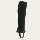 Ariat Scout Chap 