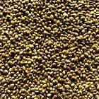 Hemp -  canabis Sativa Semen  - Seeds - 1000g  1kg 