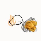 New Oem For 1997-2001 Honda Cr-v Timing Belt   Water Pump Kit Us