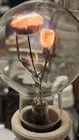 Aerolux Vintage 2 Roses Flowers Neon Light Bulb