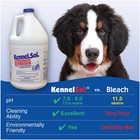 Kennelsol Germicidal Detergent   Deodorant - 1 Gallon