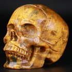 3 5  New Pietersite Carved Crystal Skull  Realistic  Crystal Healing
