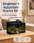 5 Gallon Glass Aquarium Starter Kit  Rimless Fish Tank