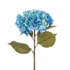 32 5 X 9 Blue Hydrangea Stem 3 bag