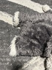 Jellycat Large Xl Truffles Sheep Dog White   Grey Plush Toy Cushion Pillow