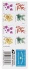 2019 Winter Berries First-class Postage Booklet Of 20 New Usps Forever Stamps