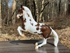 2022 Breyer Classics Gambler s Choice Johann Chestnut Pinto Lipizzan Stallion