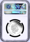 2018 P Australia Proof Silver Lunar Year Of The Dog Baby Ngc Pf 70 1 2oz Coin